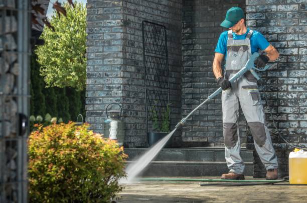 Best Graffiti Removal  in Miami Shores, FL