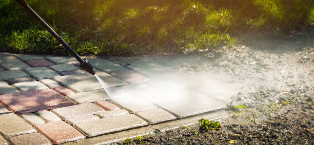 Best Solar Panel Cleaning  in Miami Shores, FL